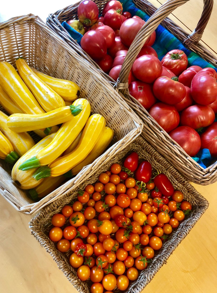 HydroGarden tweet media