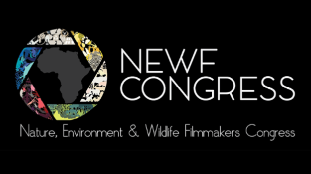 Traveller24_SA's tweet photo. NEWF winners share their passion through conservation storytelling
https://t.co/7QnxZxsBbE https://t.co/tKT2Tey6fE