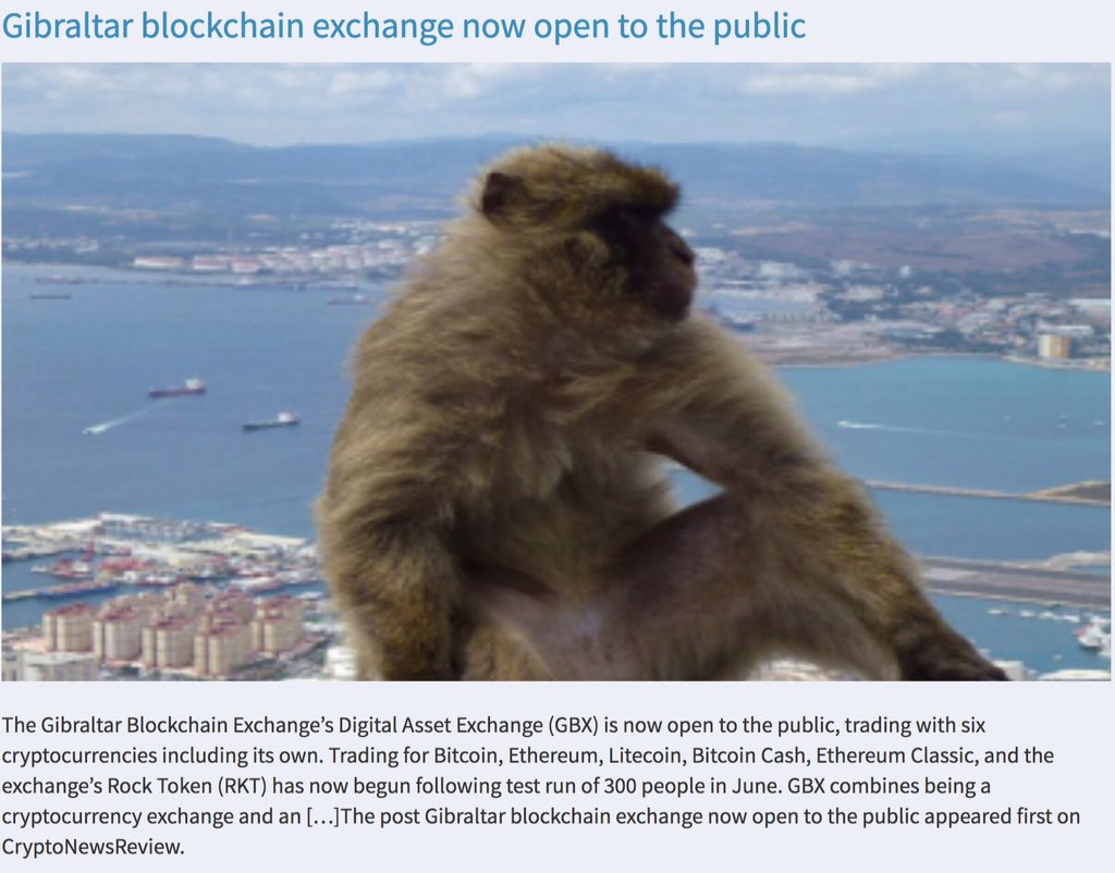 Coinbe.net tweet media