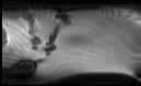 mooiweerr's tweet photo. Very pleased to see my new sequence, also my first ever scan on the Siemens platform, return an image! 🤓#WIP #interventionalMRI https://t.co/XN8sQ7RWzD