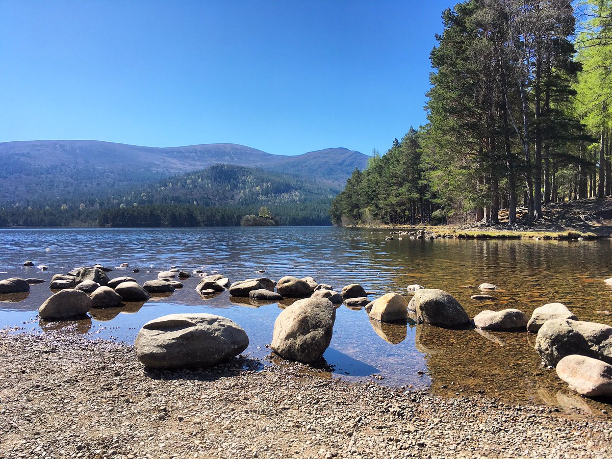 We are loving summer in the #Cairngorms what is your favourite season? #DiscoverNationalParks #NationalParksWeek2018 <a href="/uknationalparks/">National Parks UK</a> <a href="/VisitScotland/">VisitScotland</a>