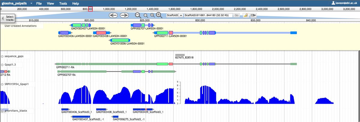 VBannotator's tweet image. I&apos;m meant to be doing something else, not dealing with cufflinks-induced UTR shambles. #AnnotationFail #VBannotation