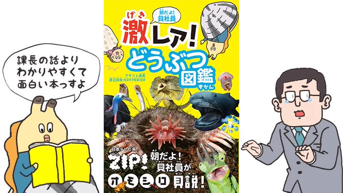 夏休みの自由研究にオススメ!「朝だよ! 貝社員 激レア! どうぶつ図鑑」全国書店・Amazonにて発売中っす。「めったに出会えない」生き物や「オドロキの特徴」をもった生き物を30種も紹介。是非ィ～手に入れてほしいっすね。書籍の感想も待ってるっす。 Amazon⇒ 