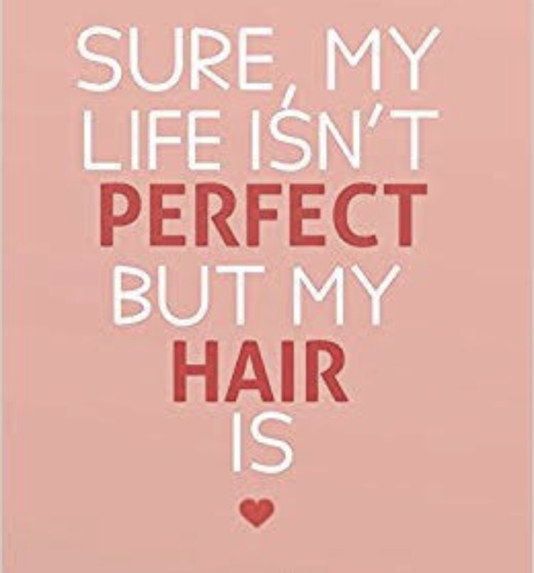 maneconcept_SA's tweet photo. Mane Concept Africa will make sure you always have perfect hair ❤️
#maneconceptafrica #wigs #lacefront #freedelivery https://t.co/BjmpUgpCaV