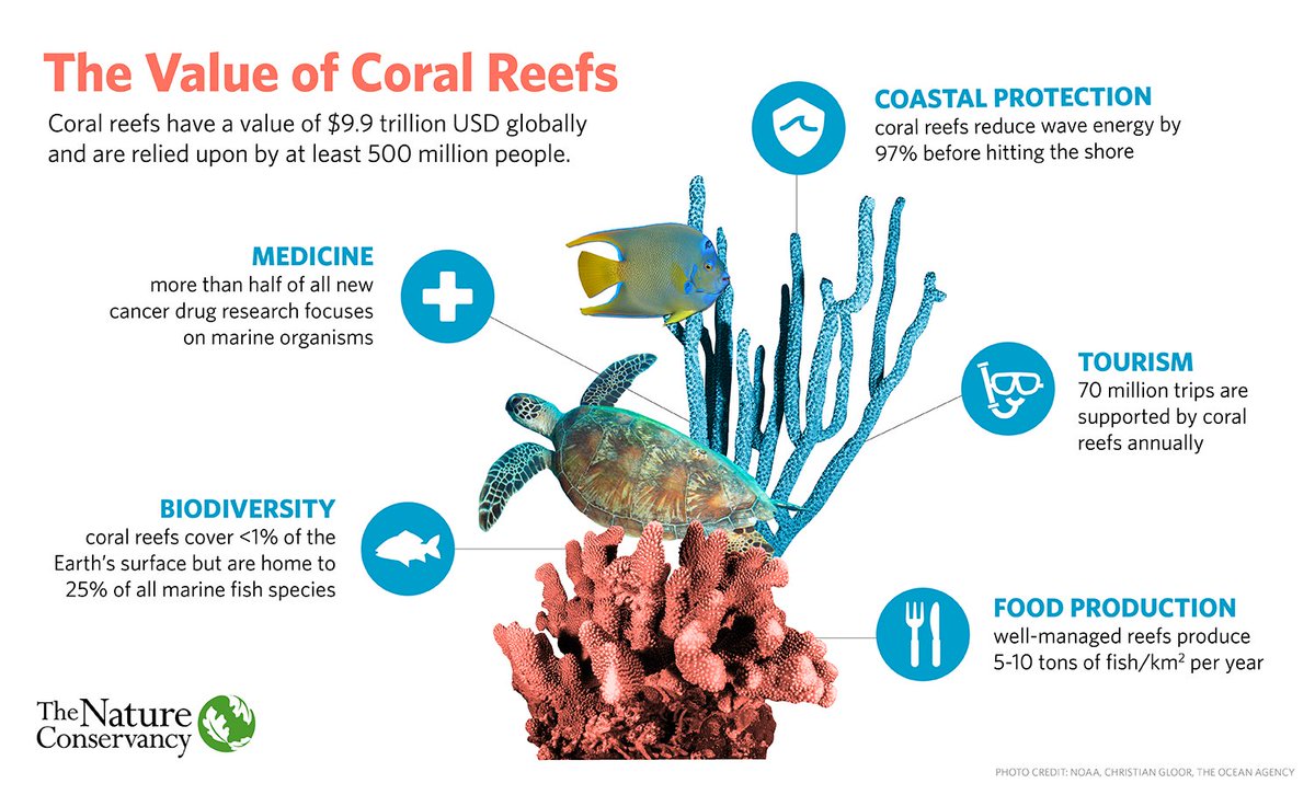 Coral Reef Benefits To Humans Online www.jkuat.ac.ke