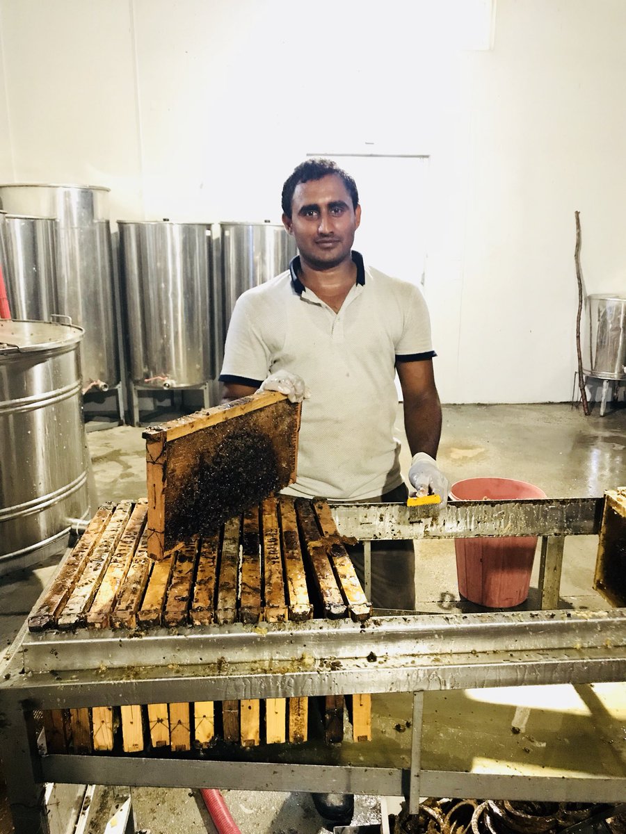 marilinapaters's tweet photo. Honey Workshop Visit?! Absolutely!! 🍯🍯In July, the month of Honey Making in Crete, we visit unique Honey Workshops and Beehives in Nature! 🐝 🐝 What about you??! 😊#honey #bee #Crete #activities #traveling #traveltocrete #experiencrete #privatetours #privatetourscrete #elissos https://t.co/bDwmJQtFFi