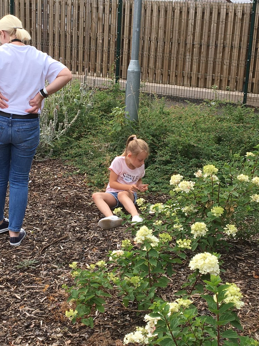 SHEPALC's tweet photo. Having great fun and learning all about the environment at #SHEP #foodandfun thank you Nadine and Aileen @abertillery3_16 @BlaenauGwentCBC https://t.co/NunZpRRk2z