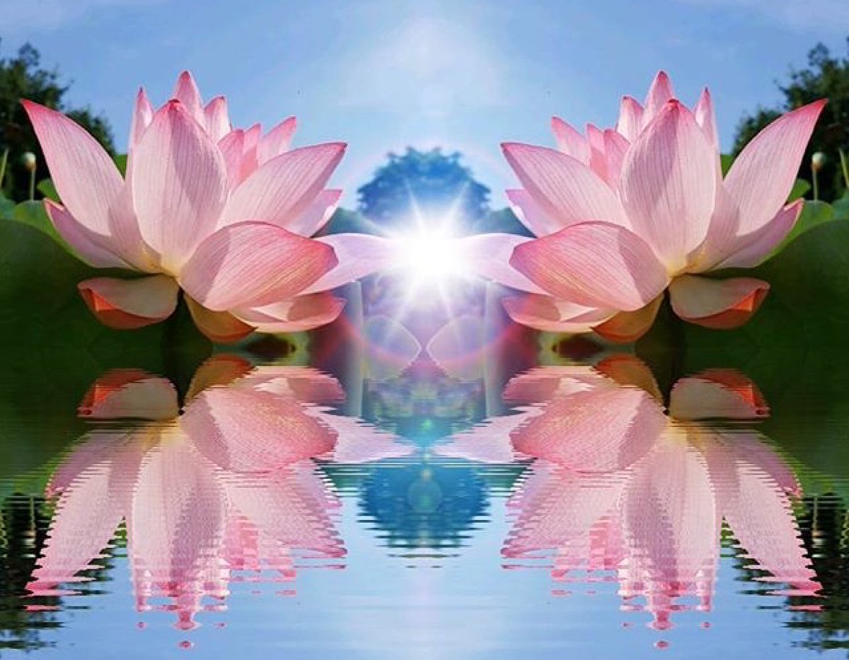 The mind is like water.
When it’s turbulent, it’s difficult to see.
When it’s calm, everything becomes clear.

Buddhist Proverb 
Pic Tenten_87_Sora