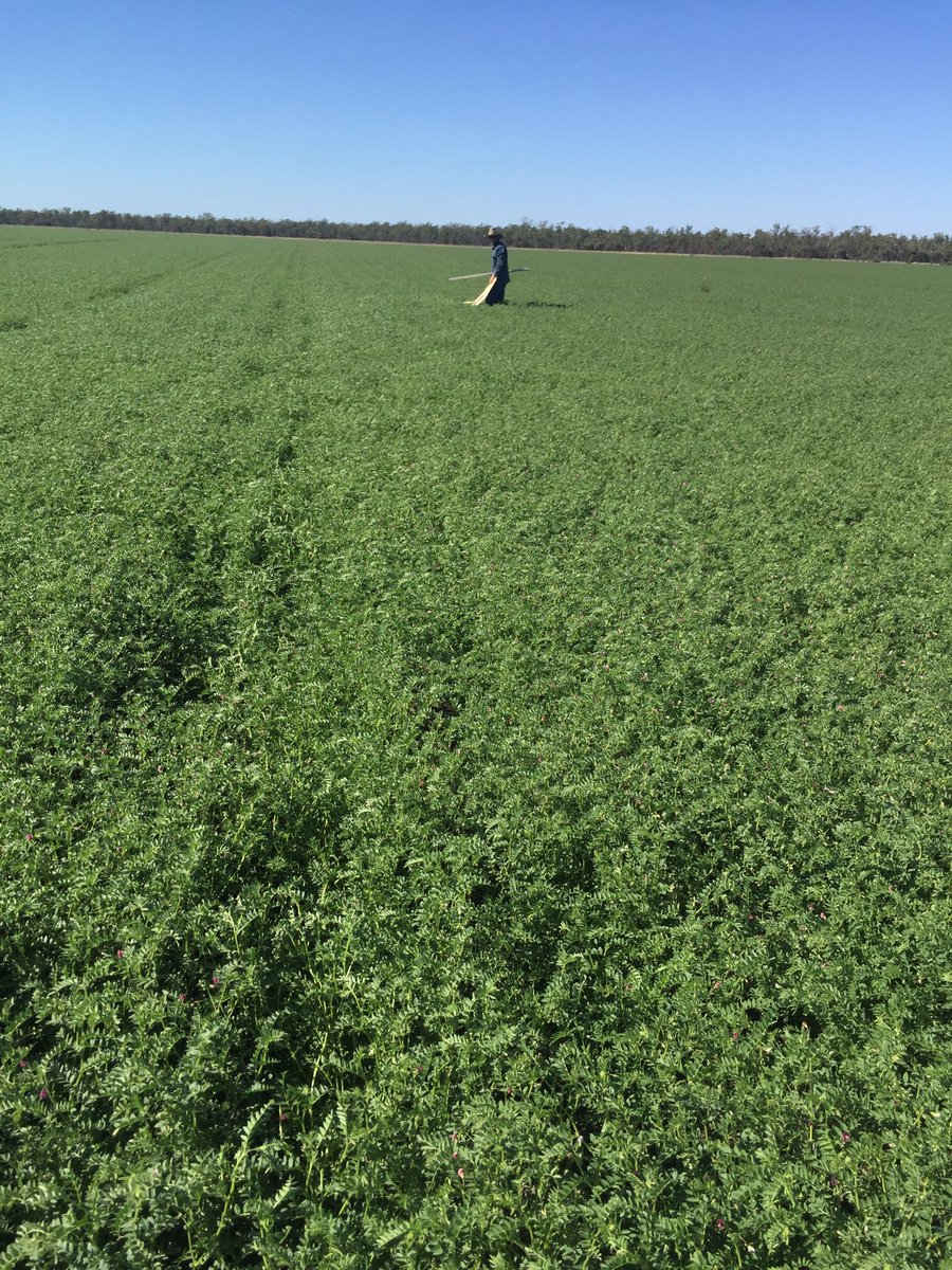 Brian Gregg tweet media