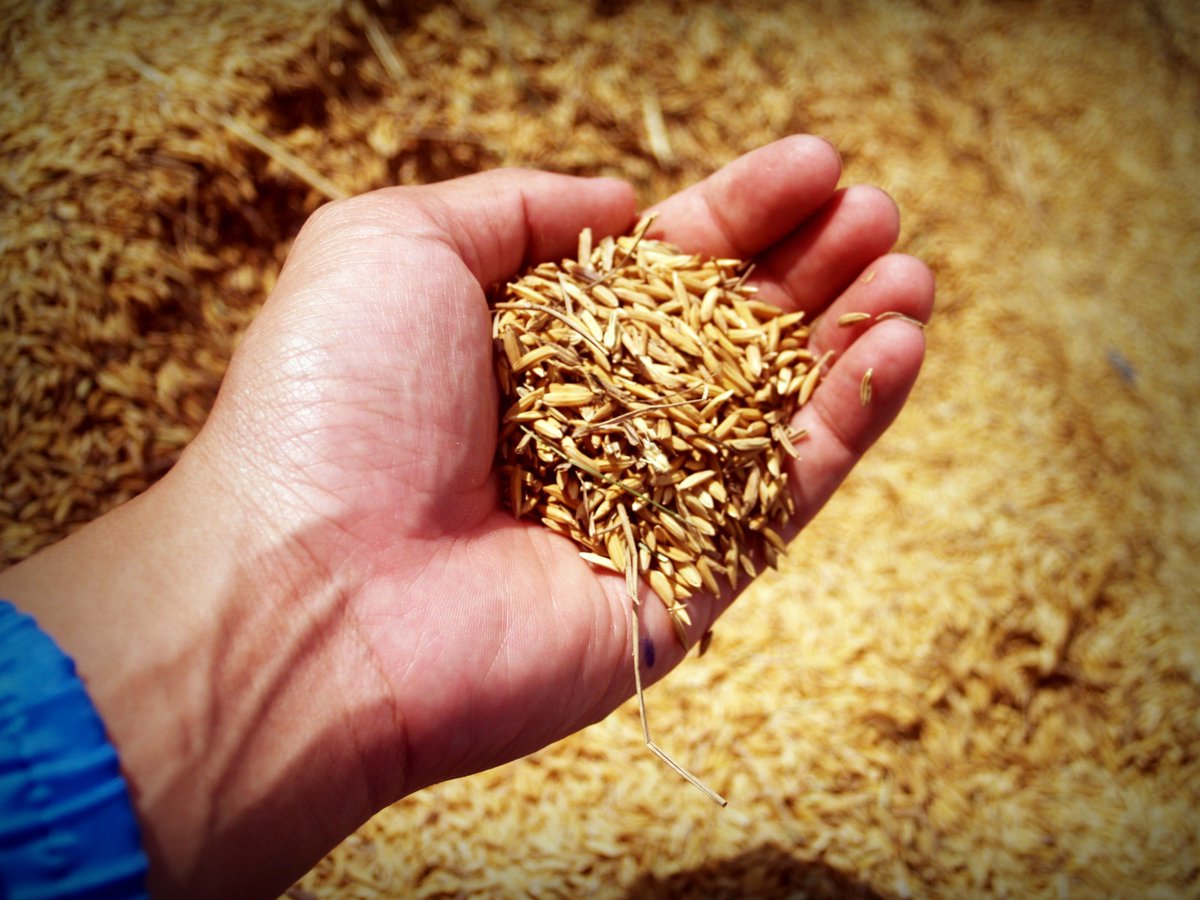 dsmfirmenichANH's tweet photo. Low #vitamin levels are often only spotted when it's too late - that's why it's important to check #animalfeed levels regularly. https://t.co/wWBZ1cJ2Te https://t.co/tDtWWhrElr