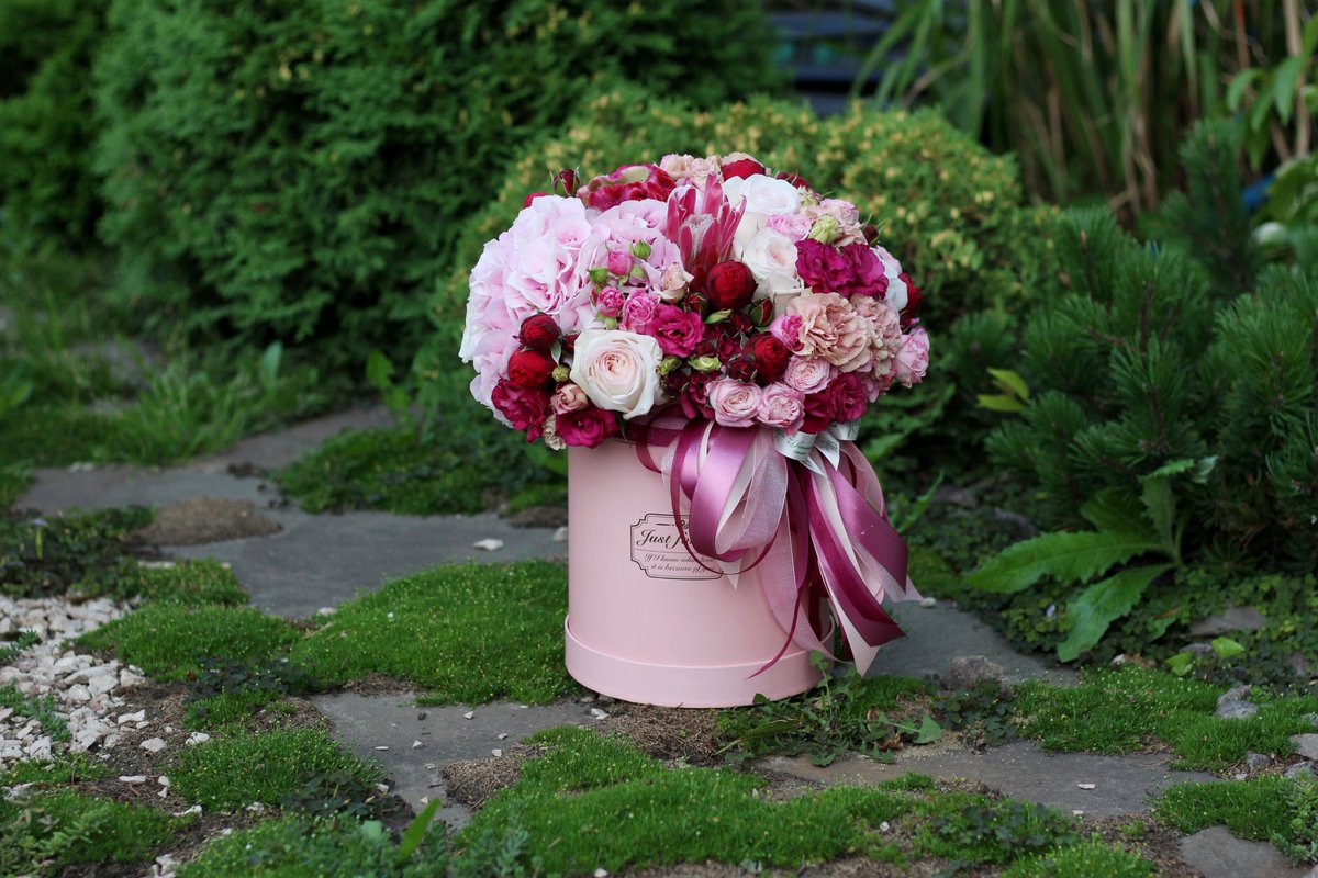 FlowersStyle's tweet image. Вот такой вот летний цветочный гигант. 🌺🌿🌾 Просто невероятная композиция в ванильно-ягодных оттенках!
#флористика #цветочнаякомпозиция #букет #цветочныйстиль #харьков #цветы #декор #followme #шедевр #необычныйбукет #стильныйбукет #аксессуарыизцветов