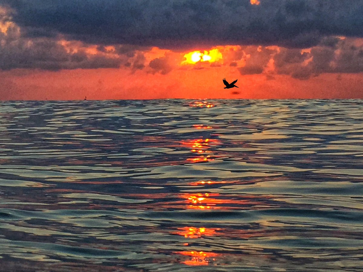 Fort Lauderdale Sun tweet media