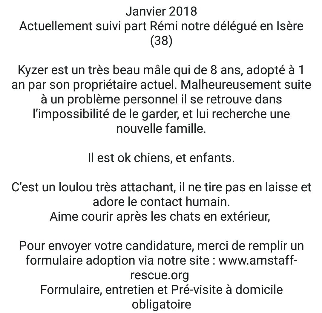 Amstaff Rescue France On Twitter A Ladoption Kyzer