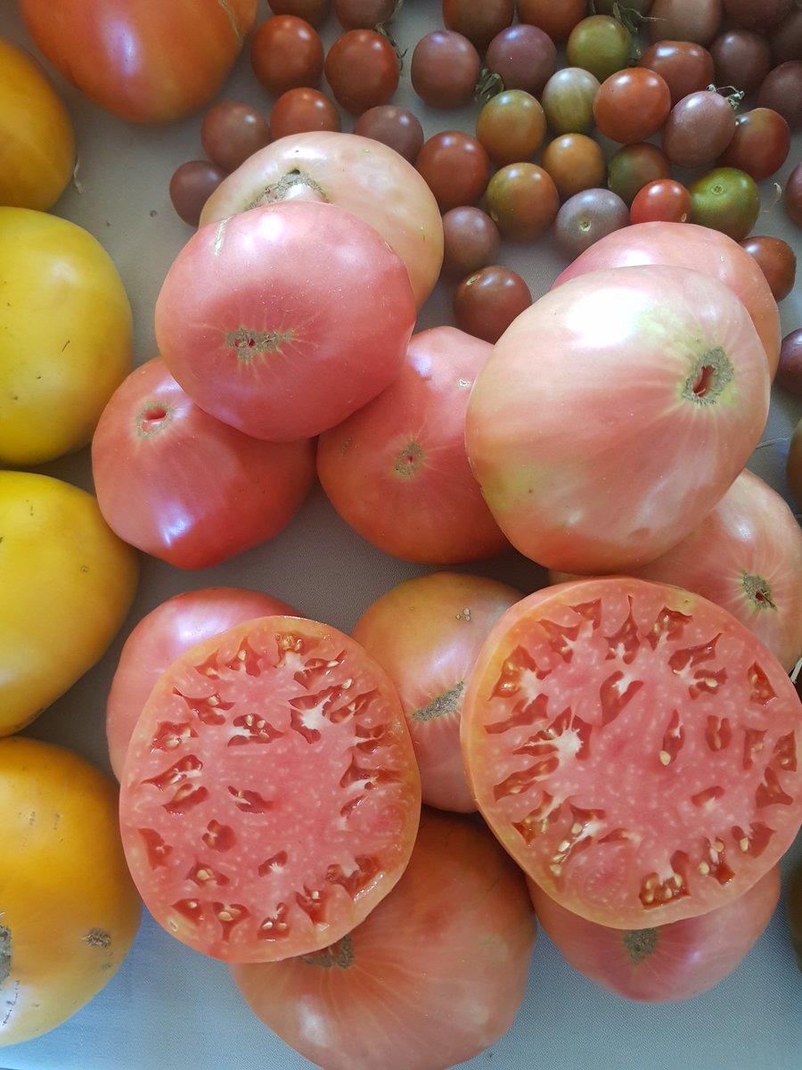 Contamos cómo fue la II Edición de #HuevoToroGourmet2018 en <a href="/SER_MarbellaCSo/">SER Marbella Costa del Sol</a> de la mano de nuestro Director <a href="/fjgarcia26/">Paco Garcia</a> Comprometidos con uno de los grandes productos de Málaga. Más en ivoox.com/restaurante-el…