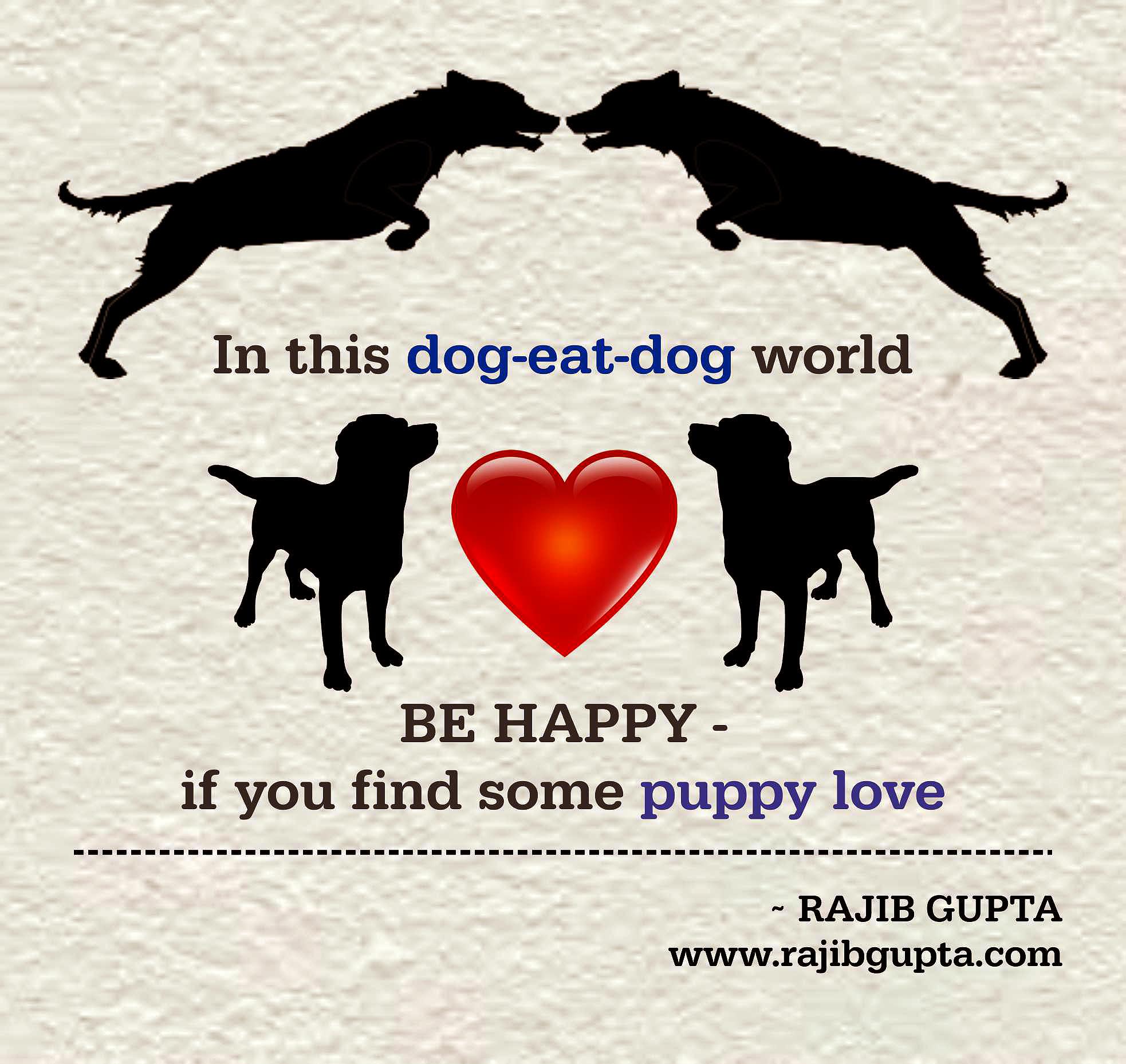 What Is A Dog Eat Dog World