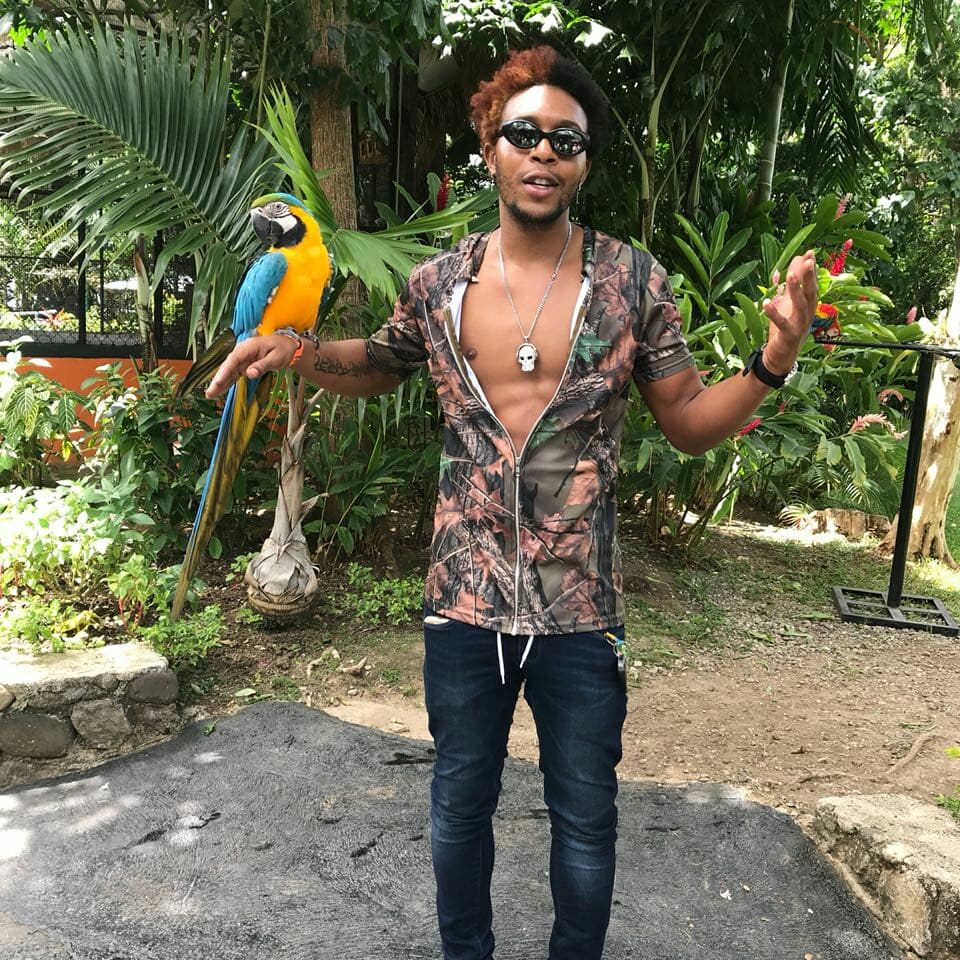 rtadaxmusic's tweet photo. Birds On my Timeline, Call it Twitter 🐦, Follow @rtadax Instagram
#rtadax #bird #birdie #dancehall #parrots #parrots #adventure #discovered  #birdview #naturephotography #birdlife #birdphotography #birdgang #view #birdeyes #parrotlove #birdman #zoo #arrive #jamaica #island #real https://t.co/MgSPQ2rcqM