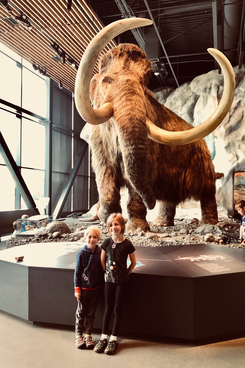 NorahJP's tweet photo. Making mammoth friends ⁦@BellMuseum⁩ https://t.co/Wi1THexL0K