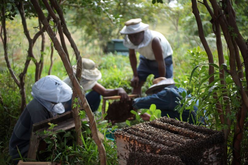 #Didyouknow that some $1.26 trillion per year are lost due to bribery and corruption? Through #miningwithprinciples <a href="/BHP/">BHP</a> and <a href="/AngloAmerican/">Anglo American</a> are working hard to combat this global problem: miningwithprinciples.com/bribery-and-co…