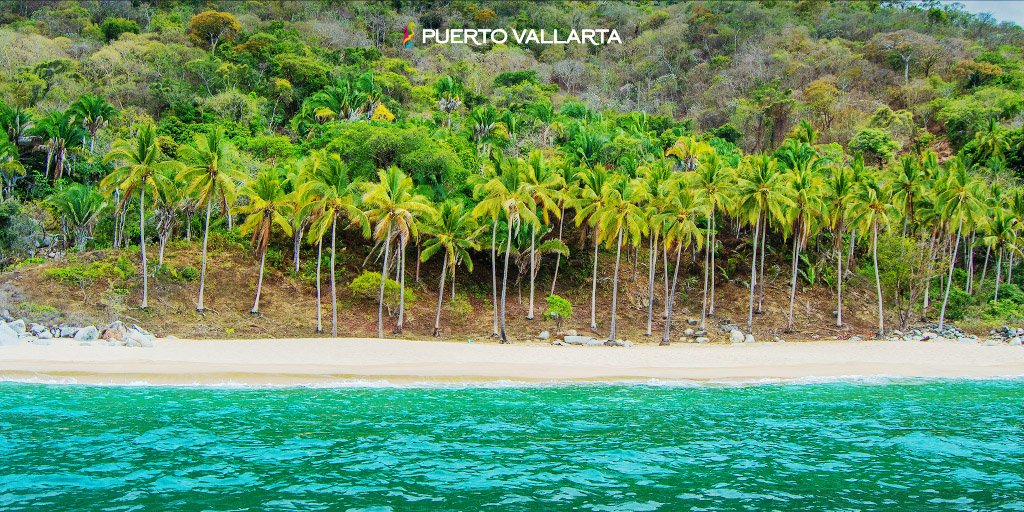 PuertoVallarta's tweet photo. This is how summer days look like in #PuertoVallarta. Come and enjoy them! https://t.co/LgDmSc4XQ2