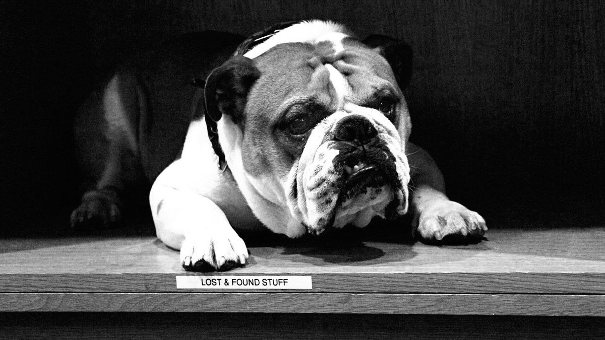 Challenged by <a href="/ArneNixonCenter/">Arne Nixon Center</a> 
Day #3 of 7: B&amp;W photos of library life. No humans: no explanations. #LibraryLife #LoveLibraries