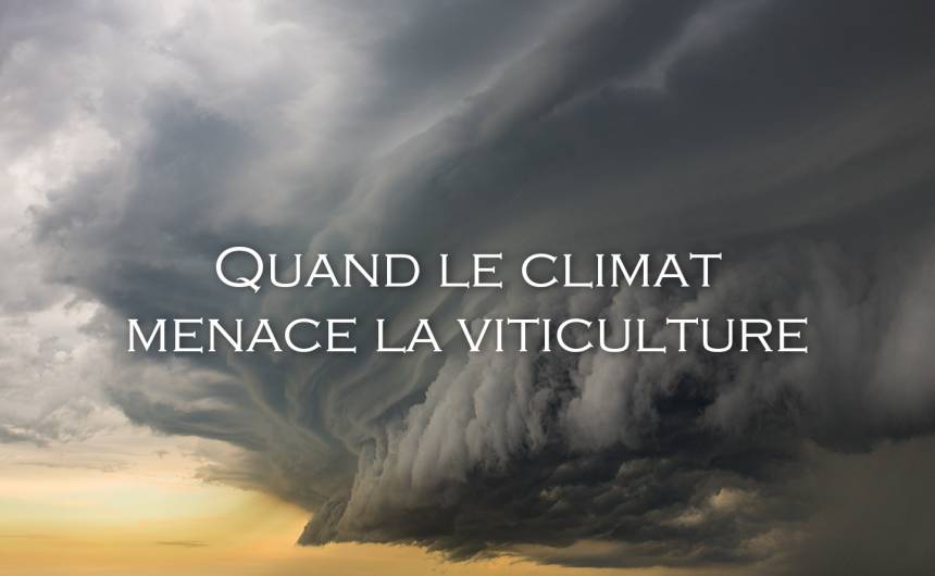 Toutlevin & PLUS tweet media