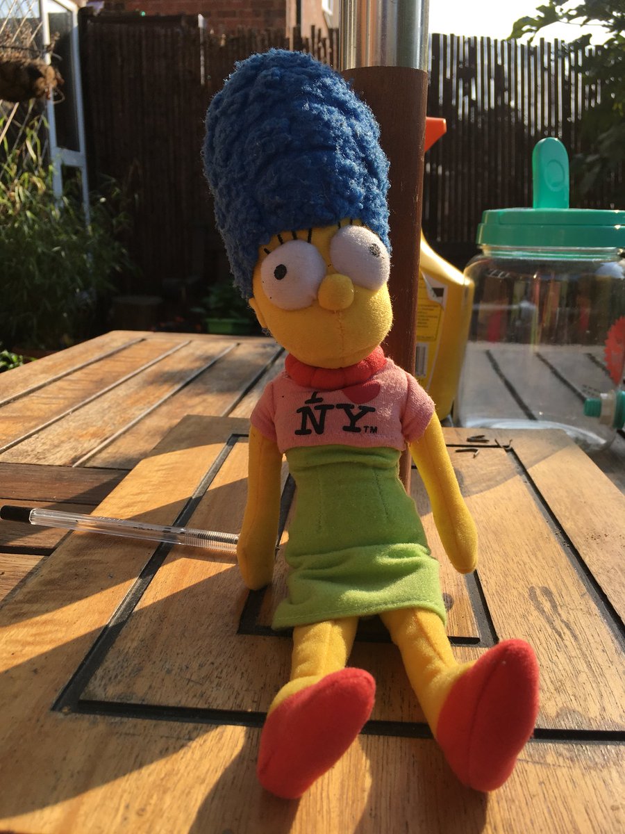 AjsMarge's tweet photo. Just had a wash! Thanks Dadx      All nice and clean for my jellies on Saturday x https://t.co/R5IaSabHsg