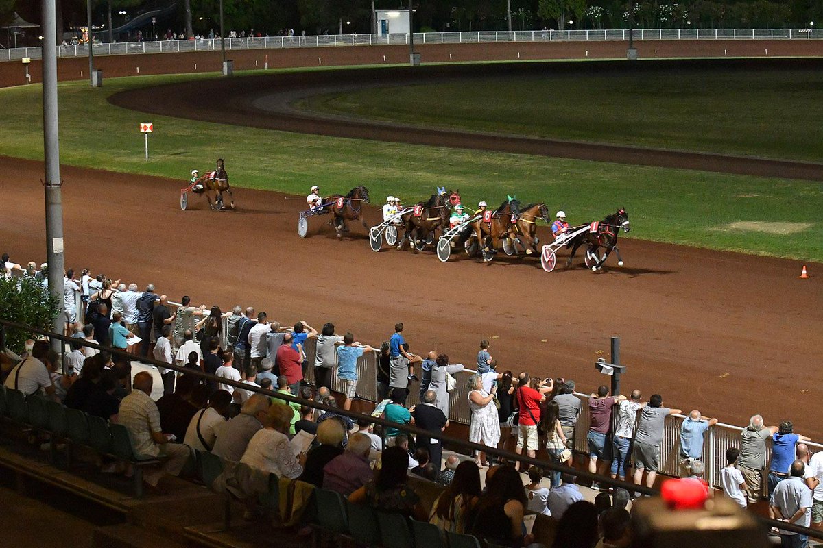 Sabato sera all'ippodromo Sesana di Montecatini le 'stelle' saranno in sulky - rigorosamente senza frustino - nella prima corsa, intitolata all'associazione Nibbio Alato,  che si adopera per il recupero dei cavalli a fine carriera, curandoli. Questa è l'ippica che ci piace.