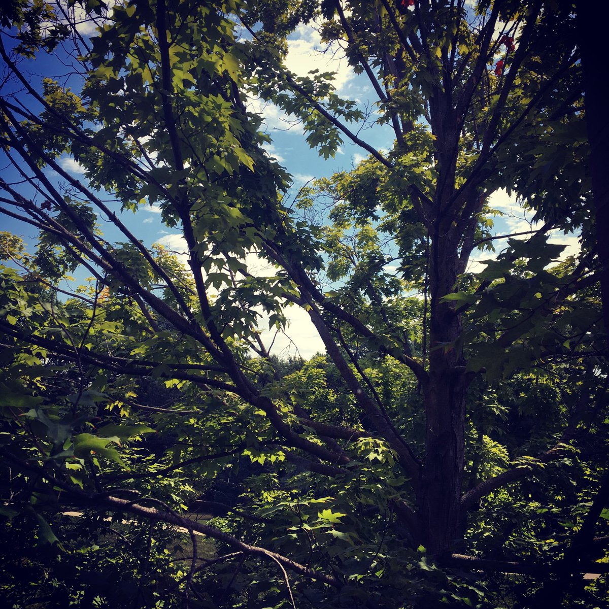 DWritingCenter's tweet photo. “No truth [is] so sublime but it may be trivial tomorrow in the light of new thoughts. ... People wish to be settled; only as far as they are unsettled is there any hope for them.” — Emerson #keywordoftheweek https://t.co/VP60mUwM5M