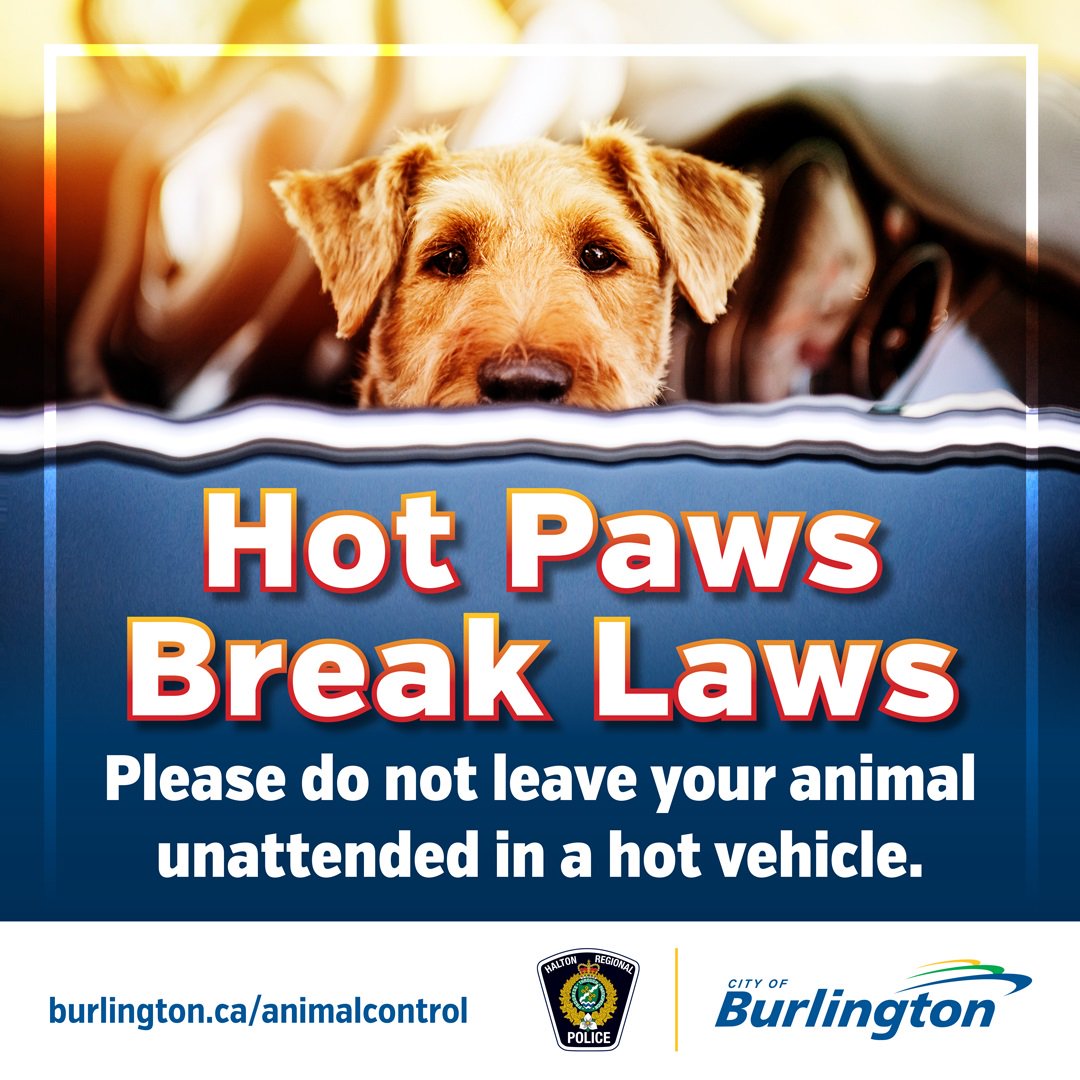 cityburlington's tweet photo. Be kind, don’t leave your pets behind. Temperatures in parked cars can turn deadly in a matter of minutes, even when parked in the shade or with the windows cracked open. https://t.co/LaZLBUnc72 https://t.co/hpUK4C4NEH