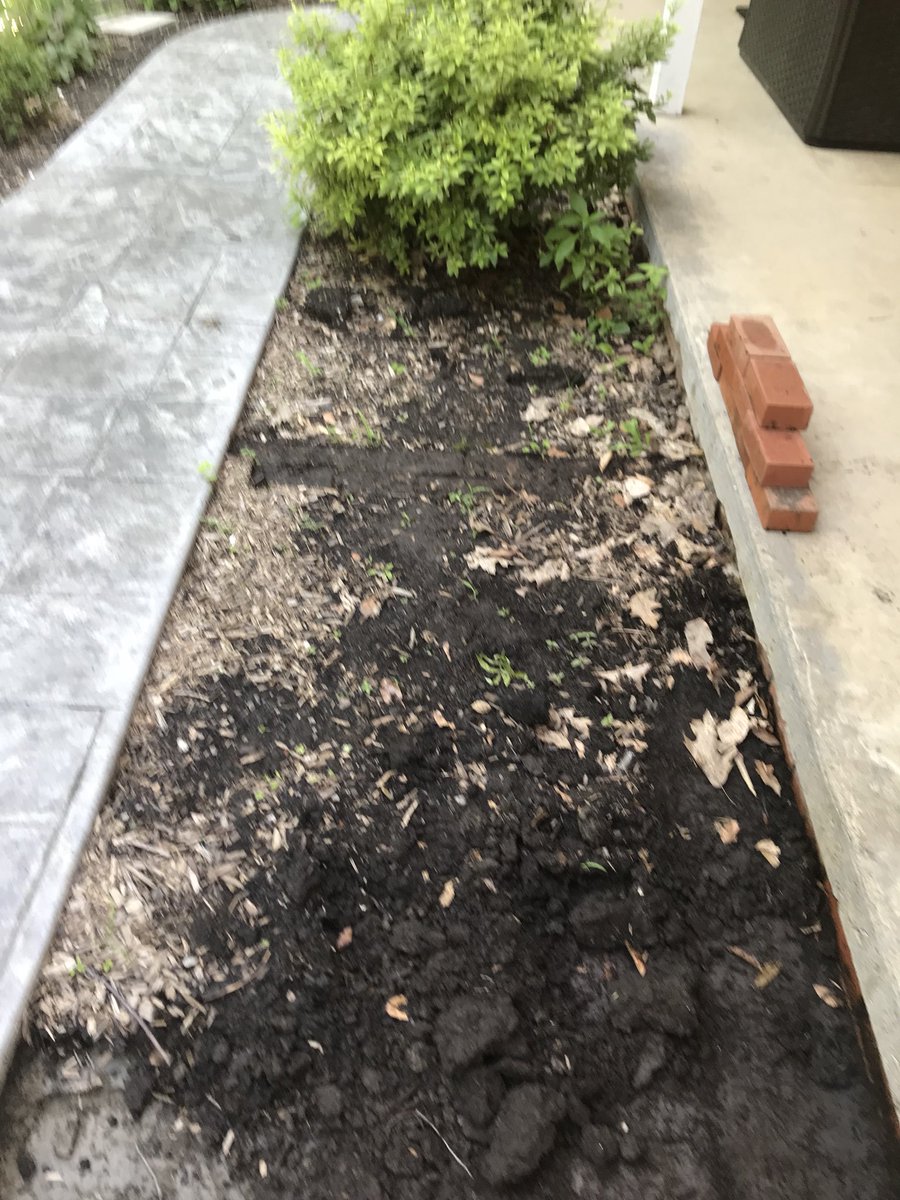 BrentCase1's tweet photo. Progression of DIY project #ClayPaver #HomeImprovement #CaseCustomPaving https://t.co/rTVPhyyFWn