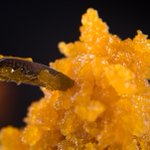 Image for the Tweet beginning: Great #Cannabis Concentrates of Southern