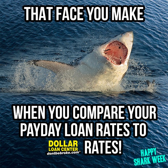 #whywerebetter #dontbebroke #sharkweek #signatureloans #paydayloans #interestrates