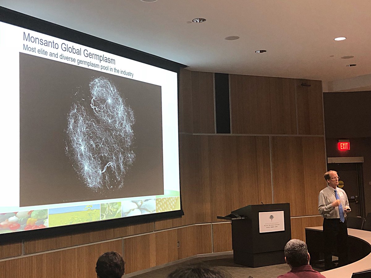 CamiDRyan's tweet photo. This is the @MonsantoCo corn galaxy! Our germplasm is the most elite and diverse in the industry. @GenomeLarry #geneeditingdanforth @DanforthCenter https://t.co/CU11Z2txWA