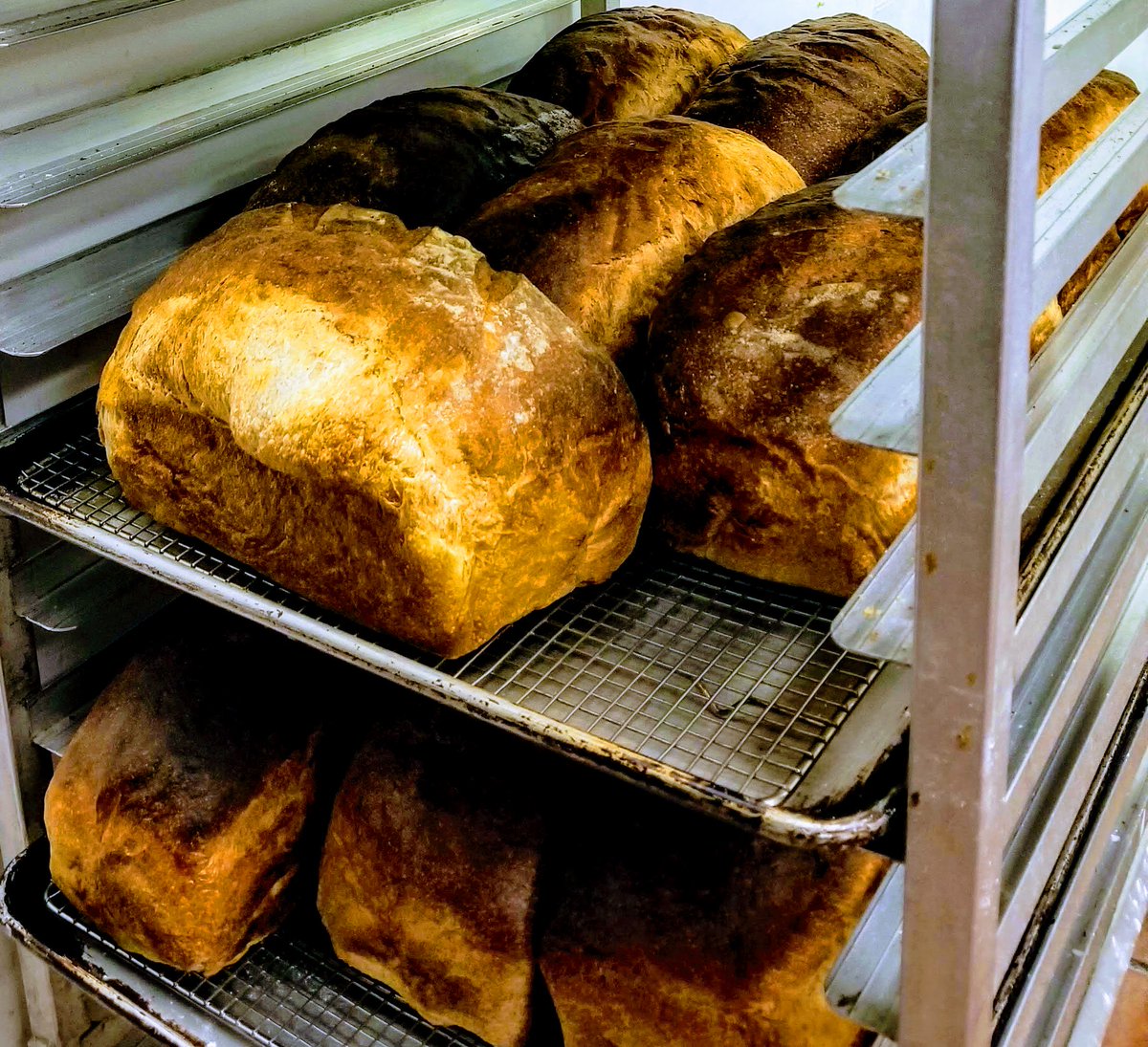 Sourdough, Wheat-Sourdough, Rustic White or Gluten-Free? It's your choice! Our breads are vegan friendly and made in house with love. 🍞💕
