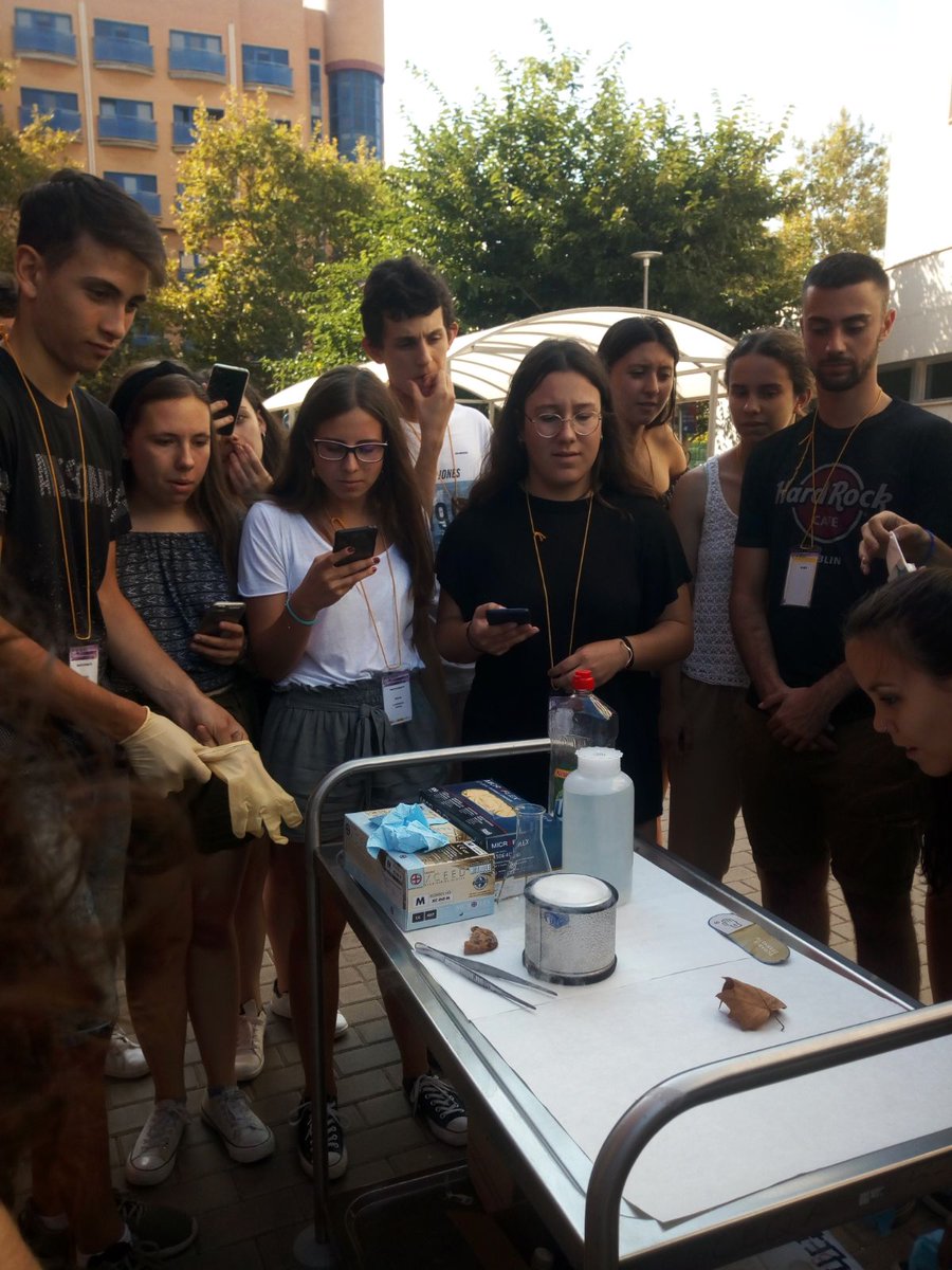 CSICval's tweet photo. El @CSIC participa en el VIII Campus Científico de Verano organizado por VLC/Campus. #Laboratorios y espacios de #investigación del CSIC, de la @UV_EG y de la @UPV se abren a estudiantes de cuarto de ESO y primero de bachillerato procedentes de toda España.https://t.co/3vb1XdWZLK https://t.co/yvn81VUHBc
