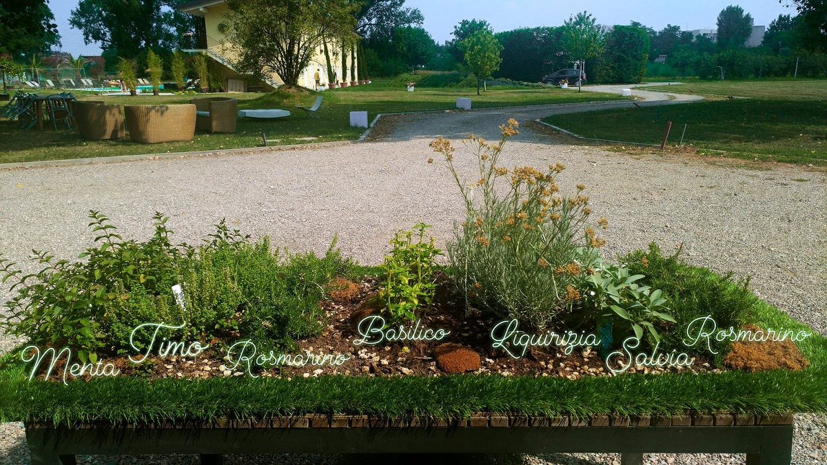dolcelunaMilano's tweet photo. Un po’ di odori mediterranei: #menta, #timo, #rosmarino, #basilico, #liquirizia e #salvia! 
🌱🍃🌿

Book now: https://t.co/i5V2PQIZzw (booking rating 8,9) 

#agriturismi #milano #lombardia #inlombardia #bnb #booking #airbnb #hotel #zimmer #chambre #rooms https://t.co/ih00FvWxKf
