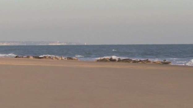 bbcsoutheast's tweet image. Goodwin Sands dredging plan given go-ahead. Read more here: bbc.in/2OjHuRC