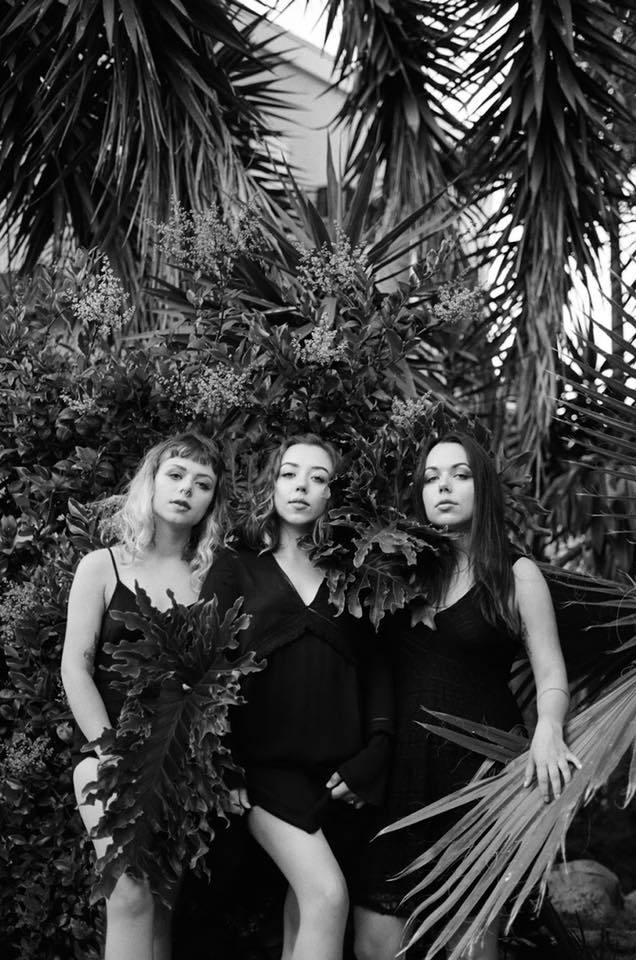 Artist Interview: Annika On Von Grey’s New EP, Songwriting, and The Success of Youth eartothegroundmusic.co/2018/07/26/art…