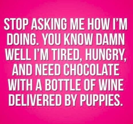 travelgaljd's tweet photo. #thoughtsofThursday chocolate, wine and puppies have amazing mood altering affects! https://t.co/nC5ZU6bpss