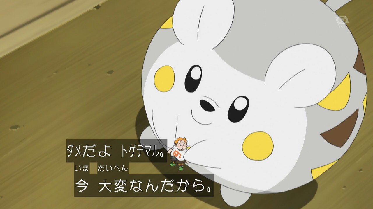 Kou Twitter પર ここのシロンとスイレンの目好き あとこのトゲデマルとマーマネの絵面かわいい Anipoke アニポケ T Co Inhmo4wzd5 Twitter