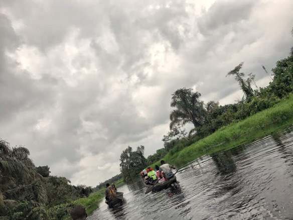 LASPARKLagos's tweet photo. It’s #MangroveDay.

DYK Mangroves are rare and spectacular ecosystems on the boundary between land and sea.

In Lagos, the lovely fauna and flora of the #EpeMangrove makes it a perfect site for tourists. 

📸 The Picture Wise, Bidsingraceland, Nene_uwa https://t.co/OksNSyawPR