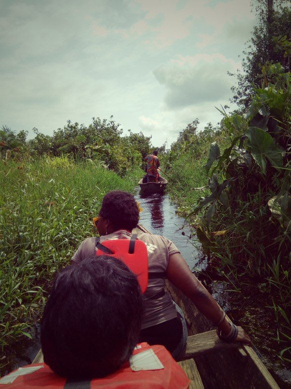 LASPARKLagos's tweet photo. It’s #MangroveDay.

DYK Mangroves are rare and spectacular ecosystems on the boundary between land and sea.

In Lagos, the lovely fauna and flora of the #EpeMangrove makes it a perfect site for tourists. 

📸 The Picture Wise, Bidsingraceland, Nene_uwa https://t.co/OksNSyawPR