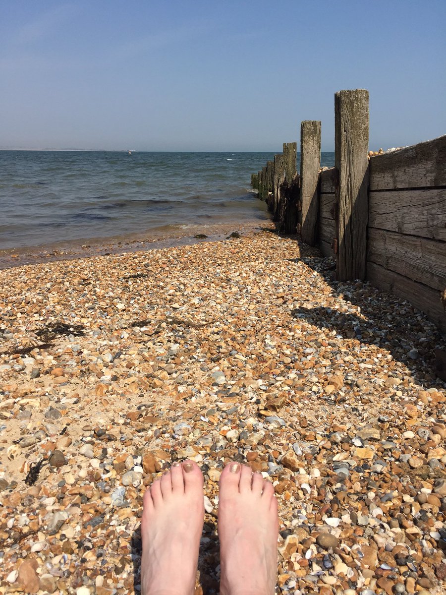 SoleStables's tweet photo. Horses all happy in the shade of stables, what can us hot humans do.... until we realised jelly fish everywhere 😵 then wobbled back in to beach to dry https://t.co/Kjz4s50L5k