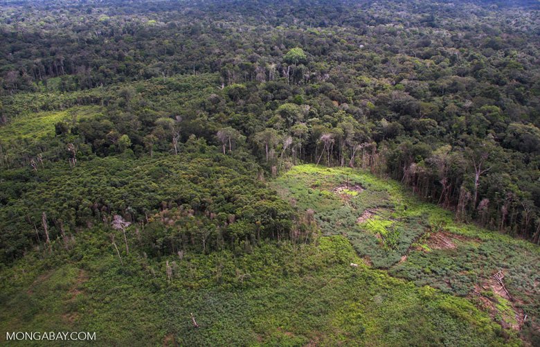 Deforestation skyrockets in the Amazon rainforest: news.mongabay.com/2018/07/defore…