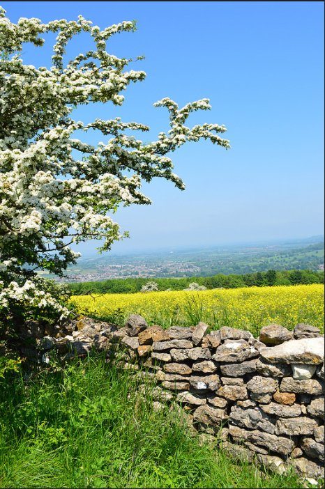CCRI (@ccri_uk) on Twitter photo Today marks #WorldPhotoDay & we'd like to highlight the beauty of the area - why not reply with 1 of your fave photos of the #Cotswolds or #Gloucestershire or the #SouthWest or #Wales 📸🌄 @glouc_services <a href="/GlosCathedral/">Gloucester Cathedral</a> <a href="/Glos2050/">The Big Conversation</a> <a href="/gloucsfarmmrkt/">Gloucs Farmers Mrkt</a> <a href="/lovingcotswolds/">Loving The Cotswolds</a> <a href="/cotswoldmarkets/">Cotswold Markets</a> Today marks #WorldPhotoDay & we'd like to highlight the beauty of the area - why not reply with 1 of your fave photos of the #Cotswolds or #Gloucestershire or the #SouthWest or #Wales 📸🌄 @glouc_services <a href="/GlosCathedral/">Gloucester Cathedral</a> <a href="/Glos2050/">The Big Conversation</a> <a href="/gloucsfarmmrkt/">Gloucs Farmers Mrkt</a> <a href="/lovingcotswolds/">Loving The Cotswolds</a> <a href="/cotswoldmarkets/">Cotswold Markets</a>