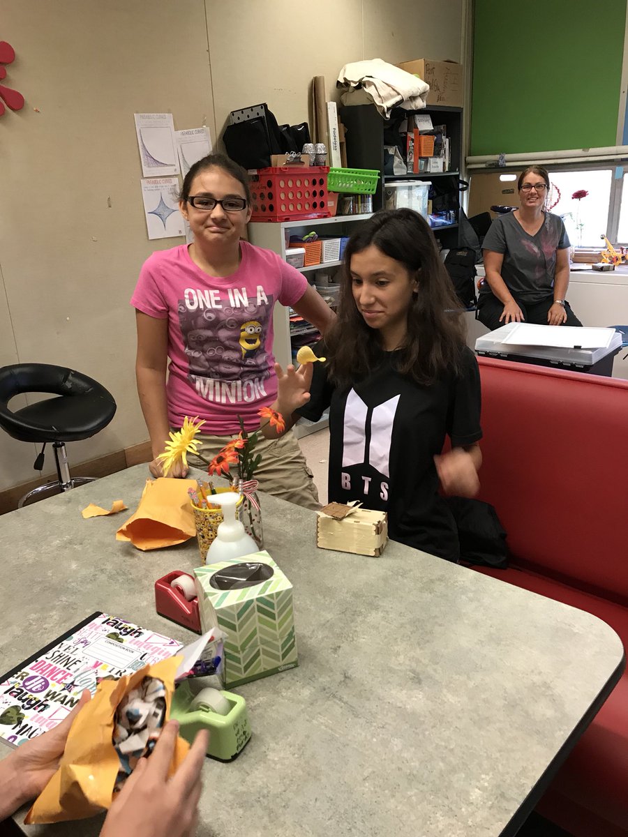 CorsichMichelle's tweet photo. Our carefully packaged Pringles returned today. 4 traveled safely through the mail ๐#1PHASD #ASPsummer https://t.co/lC3zpd5XSn