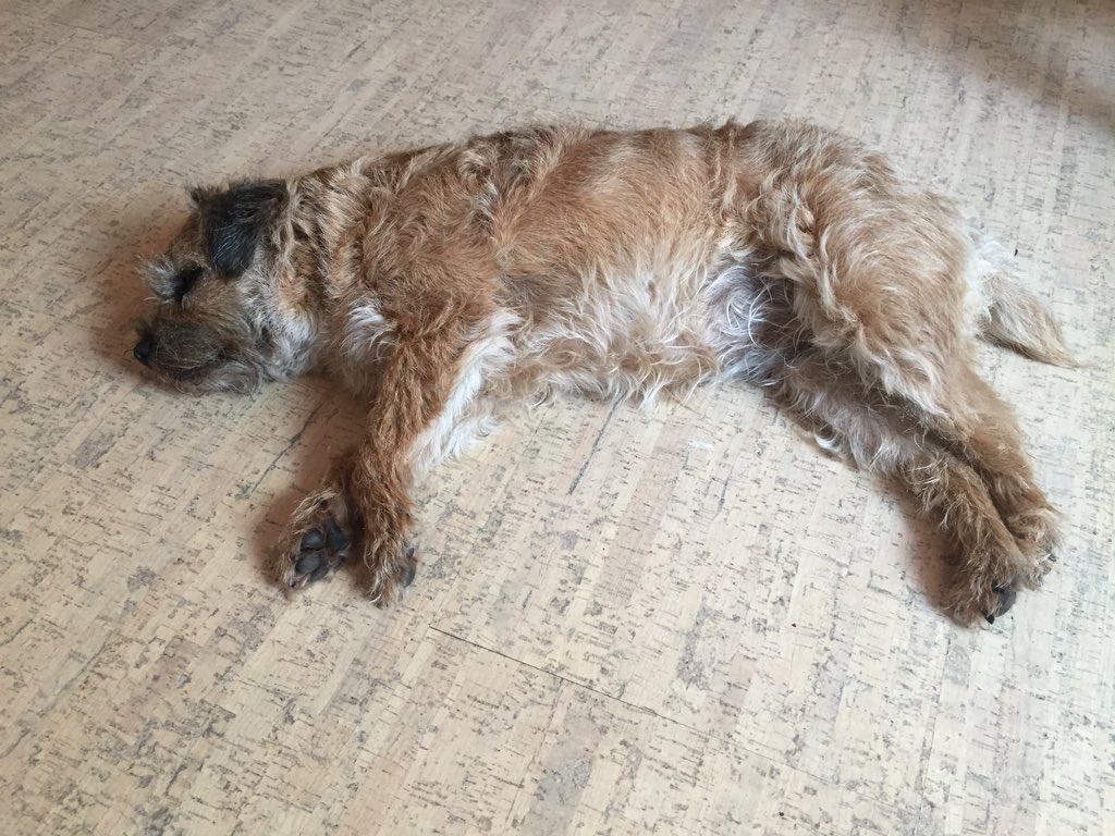 #Heethuisdiertje is cocosmat