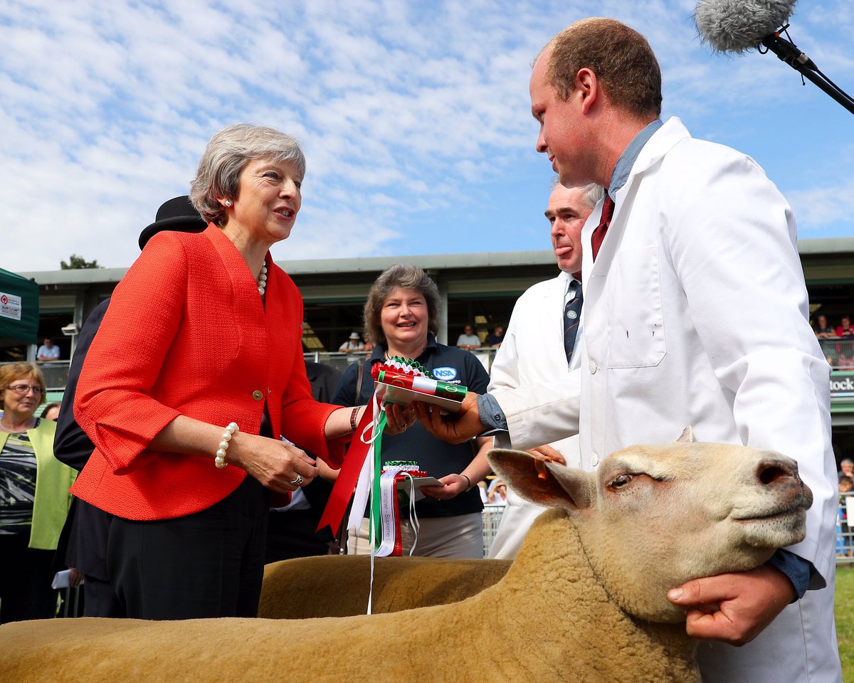 Meeting farmers and food producers at the Royal Welsh Show.