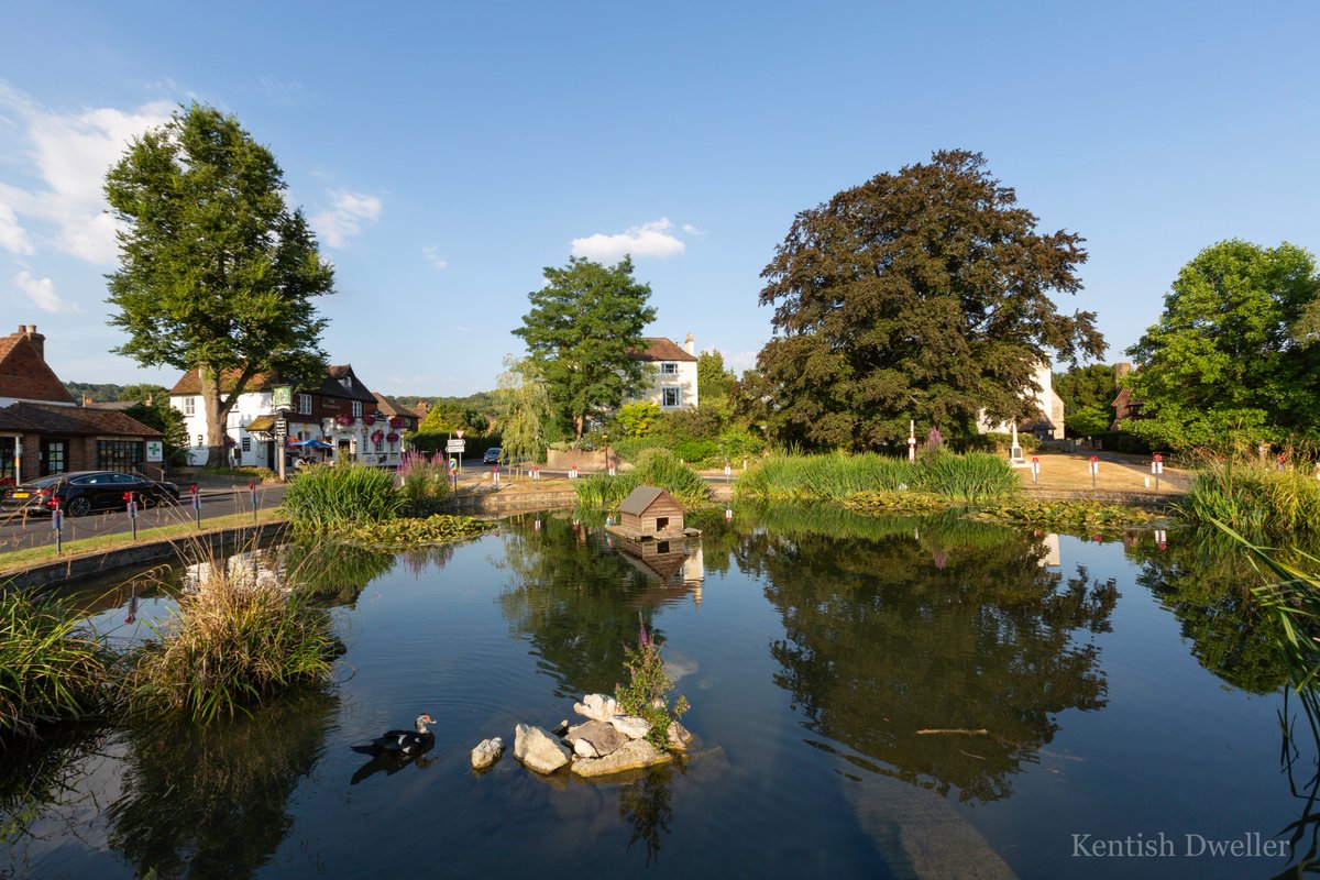 KentishDweller's tweet photo. #Otford pond yesterday. A good place to be if you're a duck, or similar. Pretty village near #Sevenoaks, with a pond. #Kent https://t.co/tXinPk9HvZ