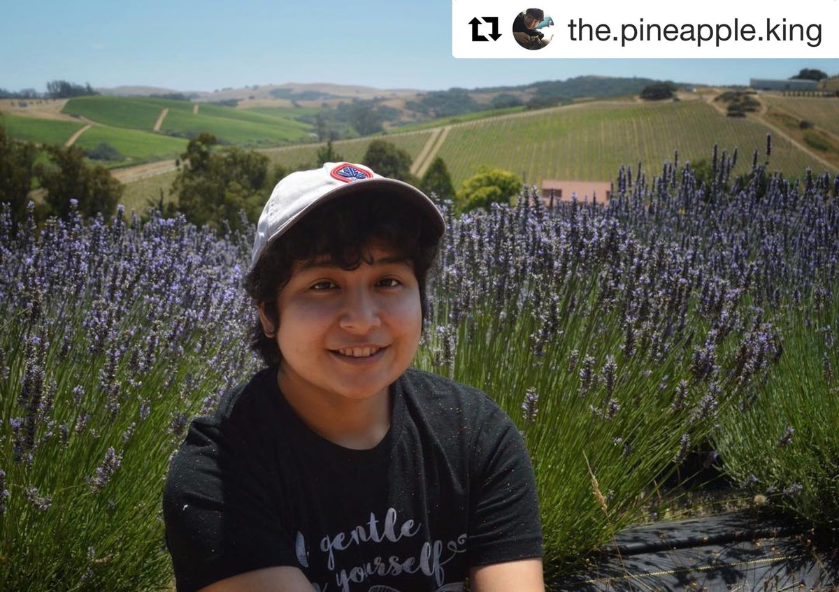 Point5cc's tweet image. LOOK AT THIS QT 😍#Repost @the.pineapple.king with @get_repost
・・・
“Be gentle with yourself...” what better place to do so than in a lavender field? ¯\_(ツ)_/¯ #transgender #point5cc #lgbt #ftm #like #follow #gay #queer #bisexual #nonbinary